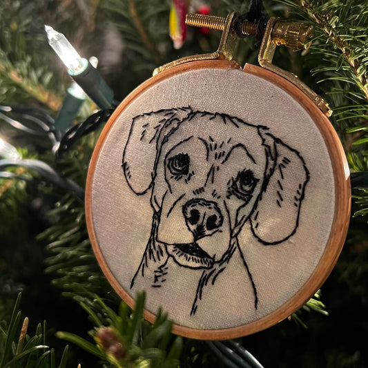 December 7th, 2pm: Pet Portrait Embroidery Workshop